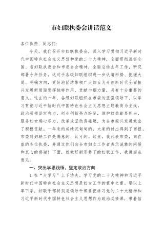 市妇联执委会讲话20240221