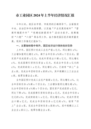 市工业园区2024年上半年经济情况汇报