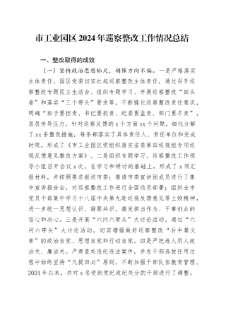 市工业园区2024年巡察整改工作情况总结