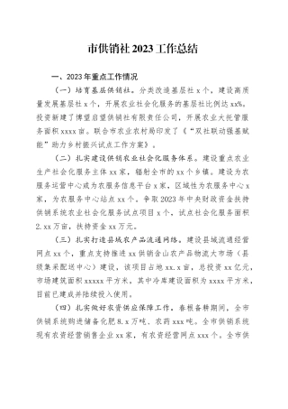 市供销社2023工作总结（20240131）