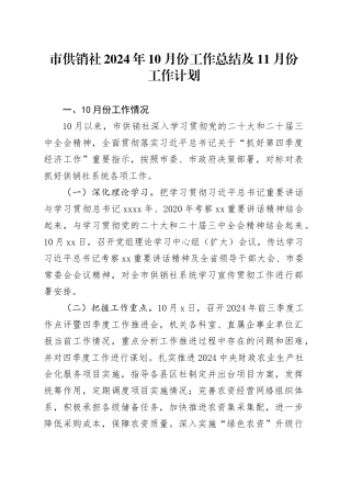 市供销社2024年10月份工作总结及11月份工作计划（20241101）
