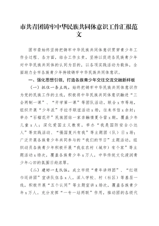 市共青团铸牢民族共同体意识工作汇报经验材料总结报告