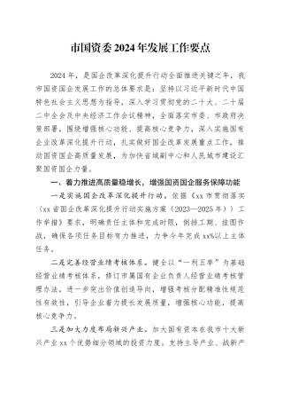 市国资委2024年发展工作要点（20240419）