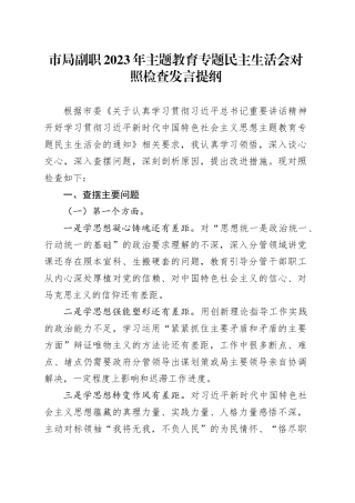 市局副职2023年主题教育专题民主生活会对照检查发言提纲