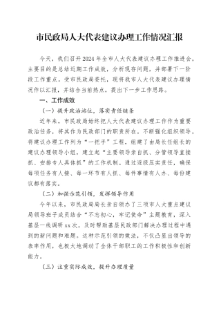 市民政局人大代表建议办理工作情况汇报