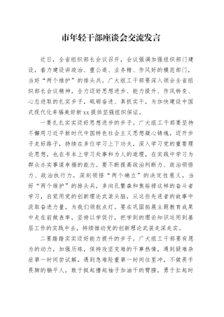 市年轻干部座谈会交流发言