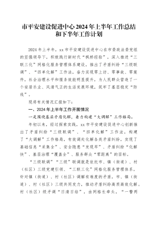 市平安建设促进中心2024年上半年工作总结和下半年工作计划