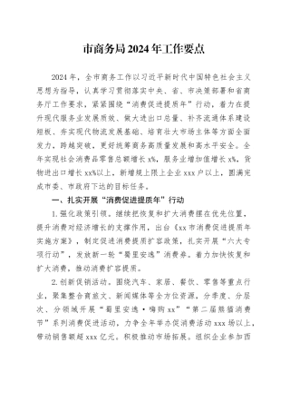 市商务局2024年工作要点（20240520）