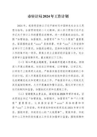 市审计局2024年工作计划