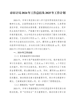 市审计局2024年工作总结及2025年工作计划