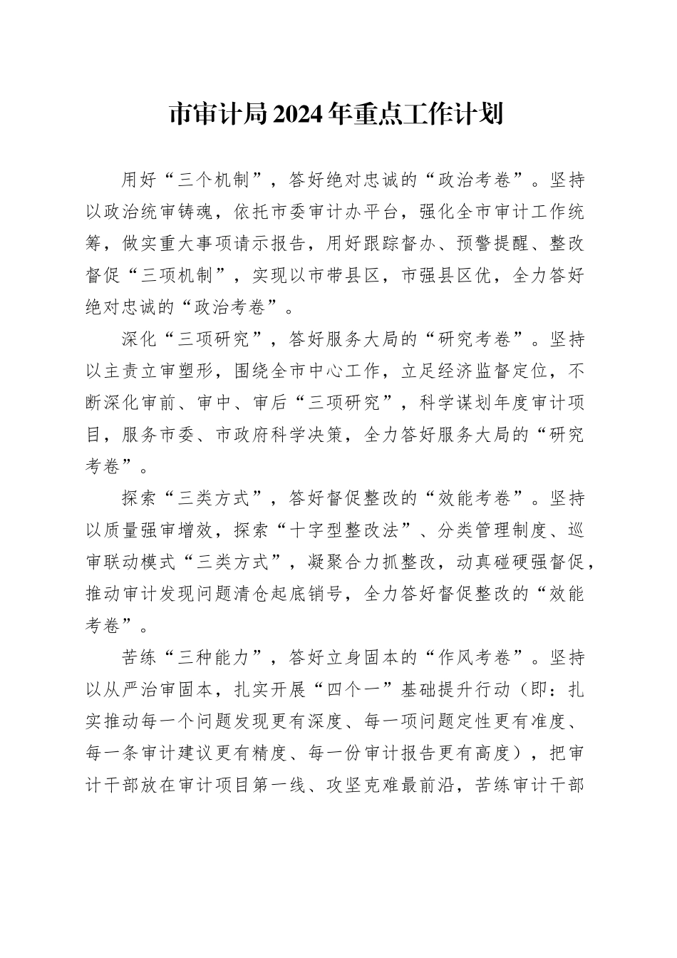 市审计局2024年重点工作计划（20240315）_第1页