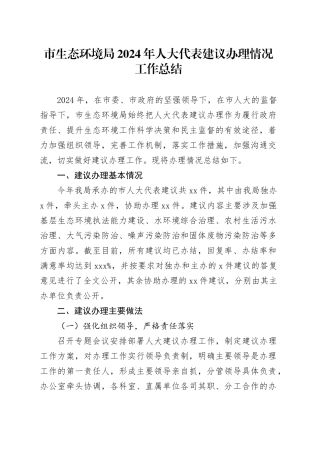 市生态环境局2024年人大代表建议办理情况工作总结（20240919）