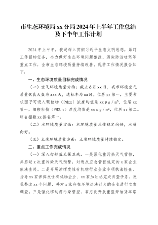 市生态环境局xx分局2024年上半年工作总结及下半年工作计划