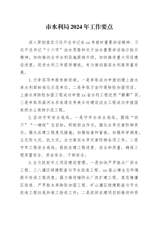 市水利局2024年工作要点