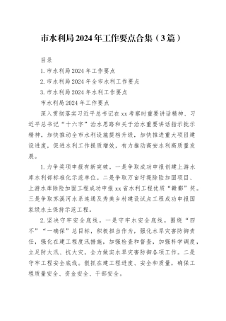 市水利局2024年工作要点合集（3篇）
