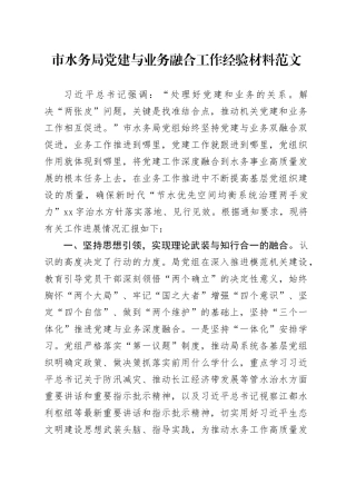 市水务局党建与业务融合工作经验材料20240306