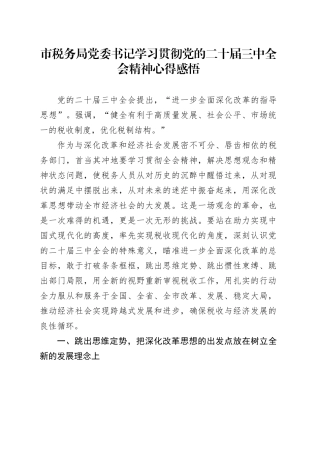 市税务局党委书记学习贯彻党的二十届三中全会精神心得感悟