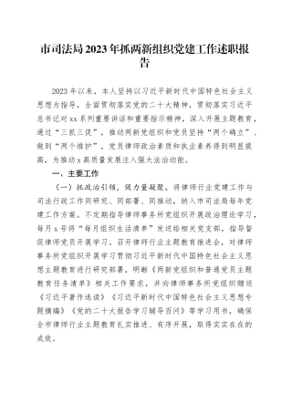 市司法局2023年抓两新组织党建工作述职报告