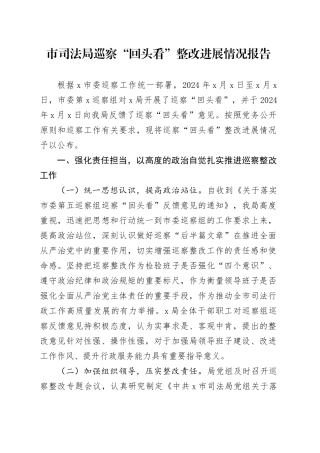 市司法局巡察“回头看”整改进展情况报告