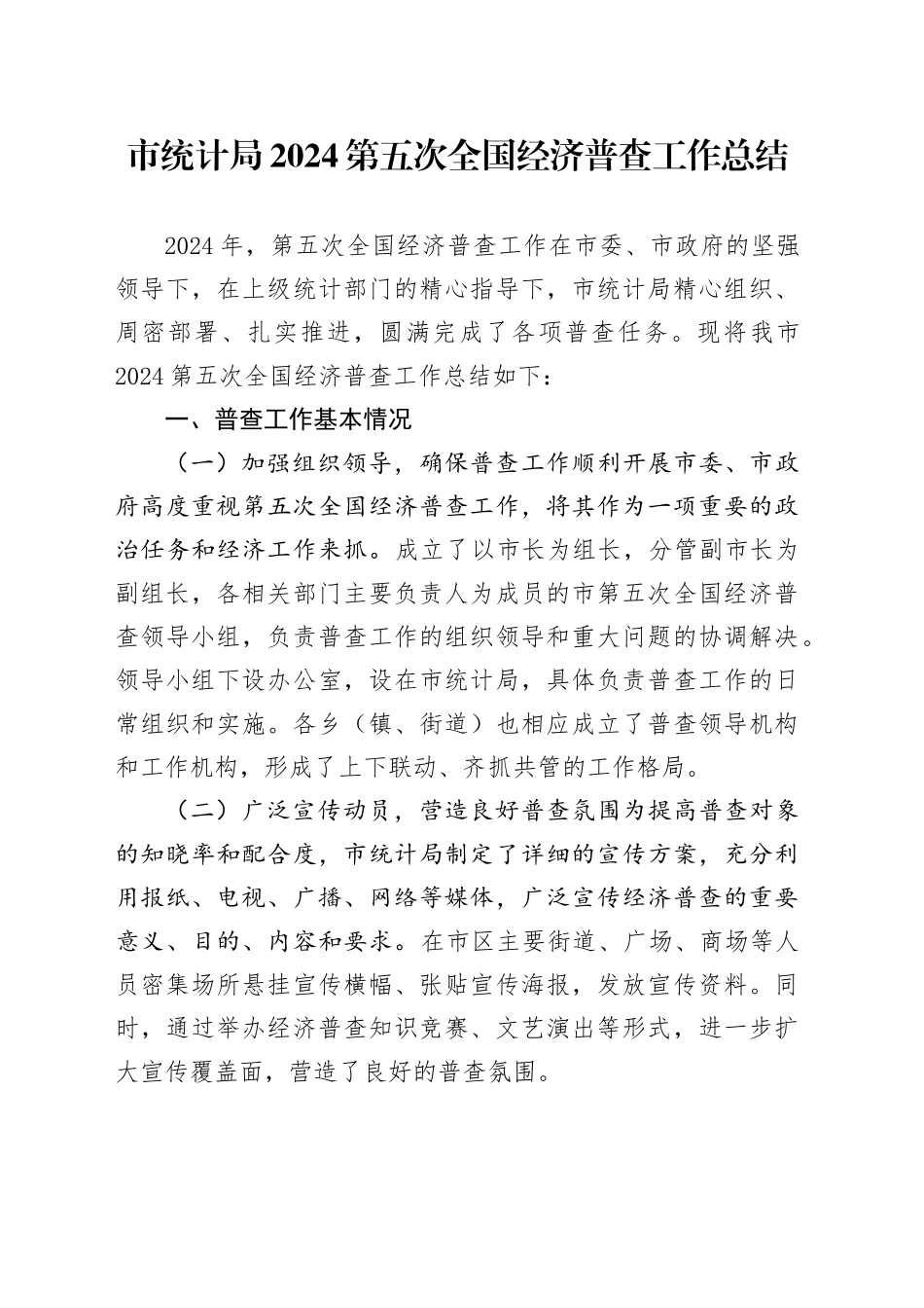 市统计局 2024 第五次全国经济普查工作总结_第1页