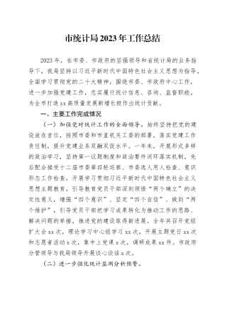 市统计局2023年工作总结（20240208）