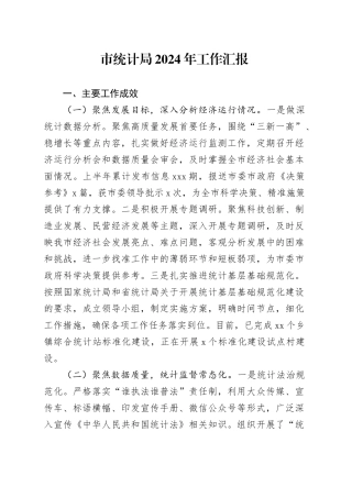 市统计局2024年工作汇报
