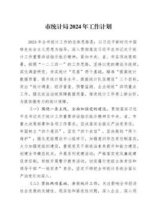 市统计局2024年工作计划
