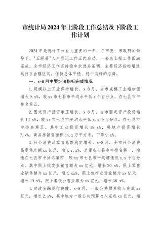 市统计局2024年上阶段工作总结及下阶段工作计划（20240923）