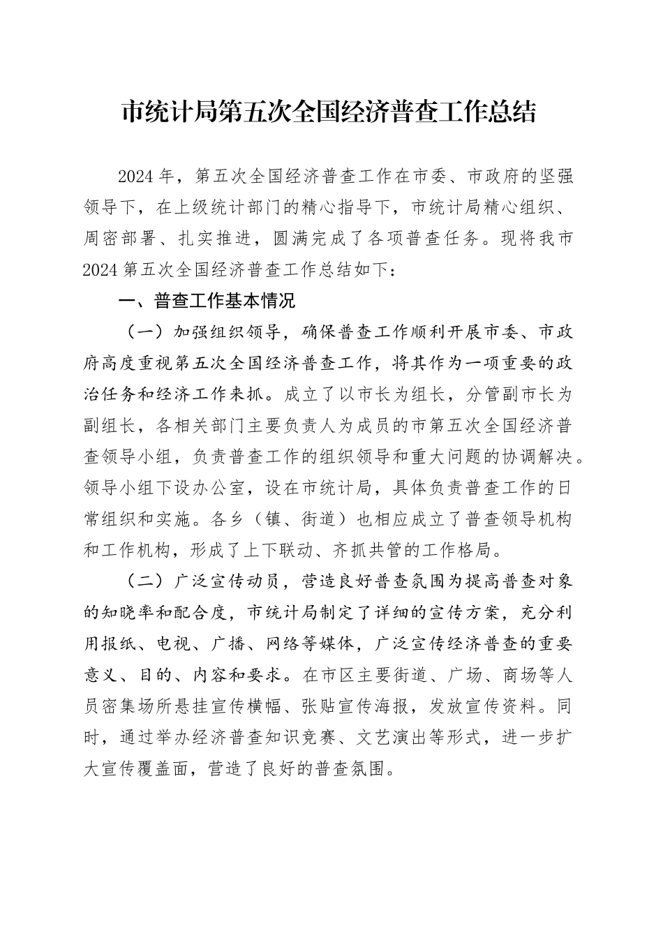 市统计局第五次全国经济普查工作总结_第1页