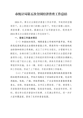 市统计局第五次全国经济普查工作总结