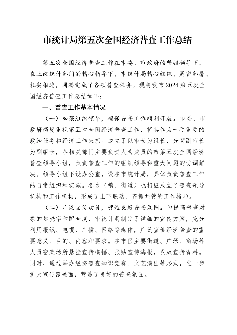 市统计局第五次全国经济普查工作总结汇报报告20241030_第1页