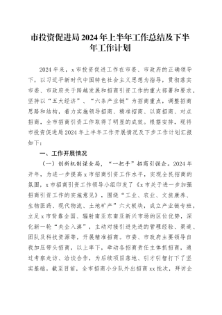 市投资促进局2024年上半年工作总结及下半年工作计划