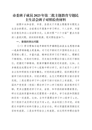 市委班子成员2023年第二批主题教育专题民主生活会班子对照检查材料