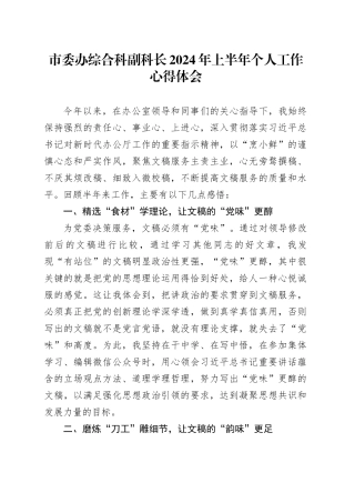 市委办综合科副科长2024年上半年个人工作心得体会