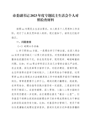 市委副书记2023年度主题教育民主生活会个人对照检查材料