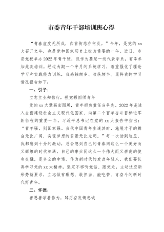 市委青年干部培训班心得