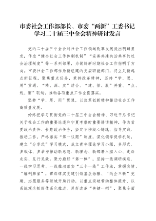市委社会工作部部长、市委“两新”工委书记学习二十届三中全会精神研讨发言