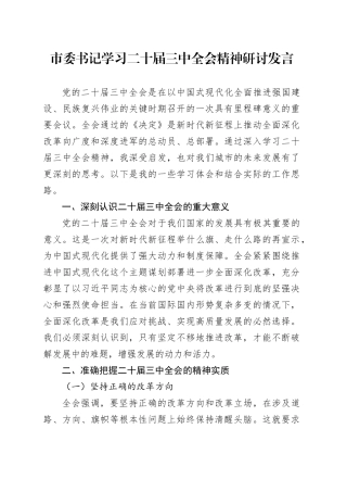 市委书记学习二十届三中全会精神研讨发言