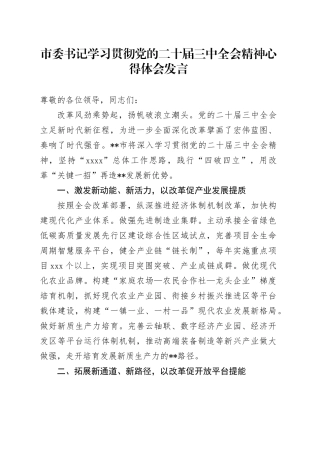 市委书记学习贯彻党的二十届三中全会精神心得体会发言