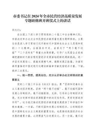 市委书记在2024年全市民营经济高质量发展专题研修班开班仪式上的讲话