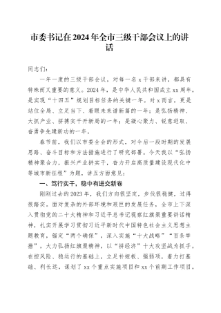 市委书记在2024年全市三级干部会议上的讲话