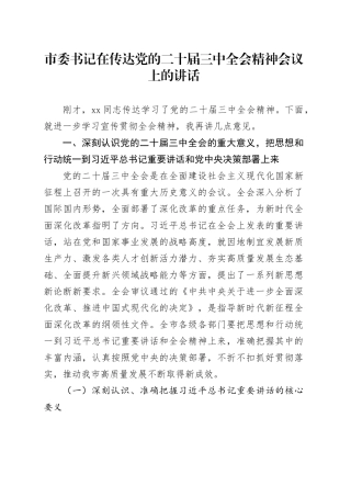 市委书记在传达党的二十届三中全会精神会议上的讲话