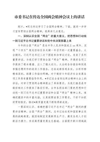 市委书记在传达全国两会精神会议上的讲话4600字