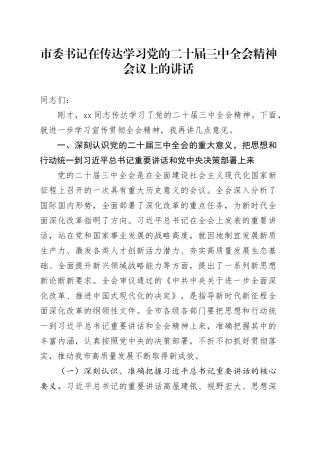 市委书记在传达学习党的二十届三中全会精神会议上的讲话20240726