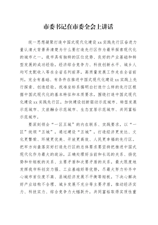 市委书记在市委全会上讲话