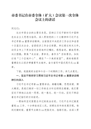 市委书记在市委全体（扩大）会议第一次全体会议上的讲话