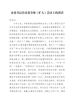 市委书记在市委全体（扩大）会议上的讲话-2