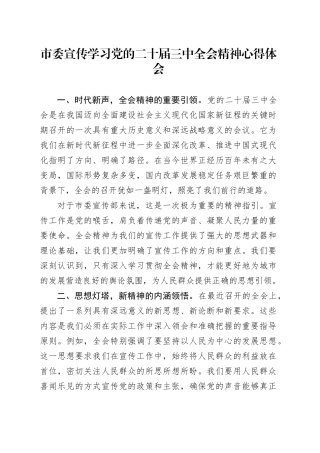 市委宣传学习党的二十届三中全会精神心得体会