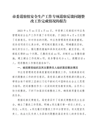 市委巡察组安全生产工作专项巡察反馈问题整改工作完成情况的报告
