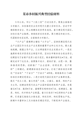 市乡村振兴典型经验